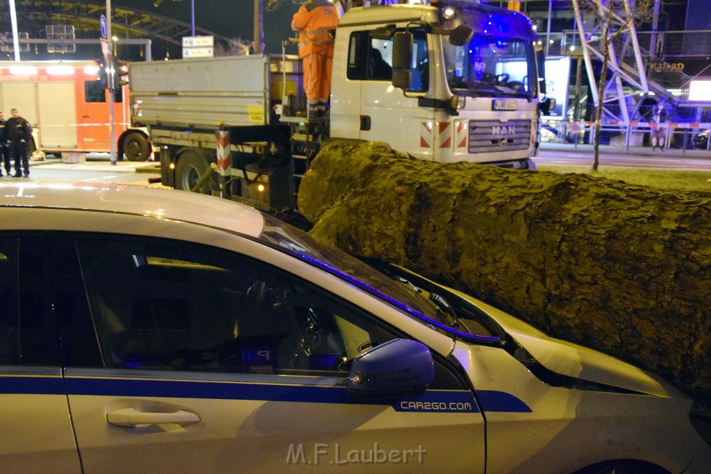 Baum auf PKWs Koeln Mitte Rheinuferstr Goldgasse P013.JPG - Miklos Laubert